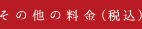 その他の料金（税込）